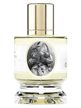 Zoologist Chameleon Extrait